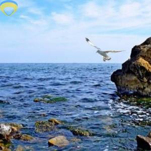 1-комн., 34.7 кв. м., Ильфа и Петрова, Таирова, Одесса, Киевский